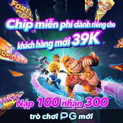 1XBET 1XBET
